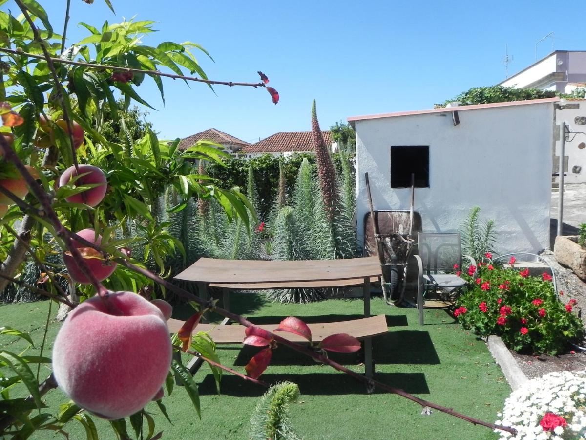 Villa Casa Irma, Great Sea And Mountains Views, Rural House Costa Adeje  Exterior foto