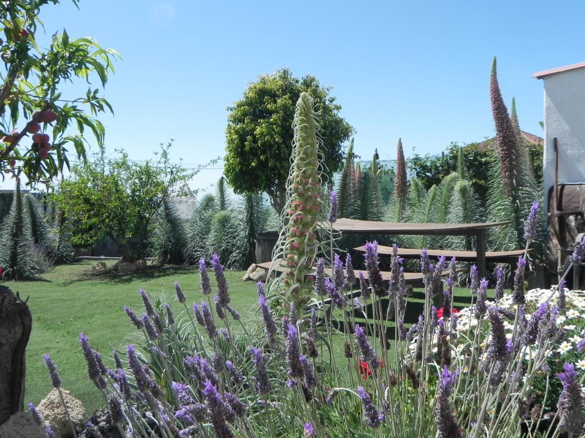Villa Casa Irma, Great Sea And Mountains Views, Rural House Costa Adeje  Exterior foto