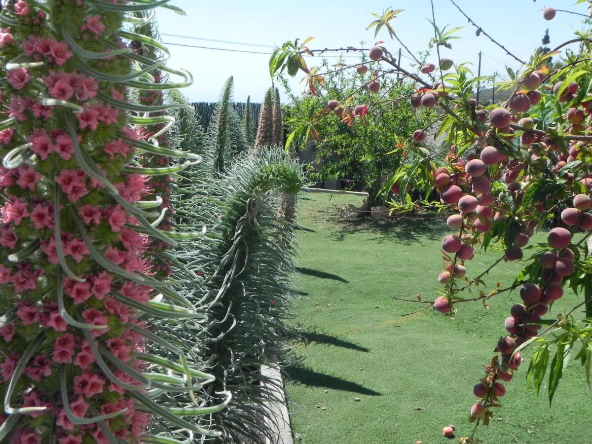 Villa Casa Irma, Great Sea And Mountains Views, Rural House Costa Adeje  Exterior foto